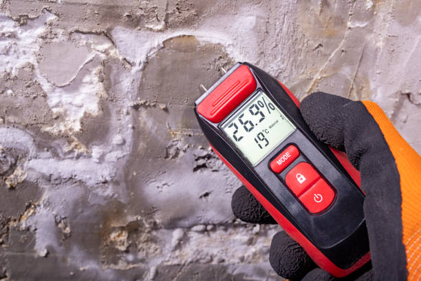 Best Home Mold Removal  in Ocean Ridge, FL